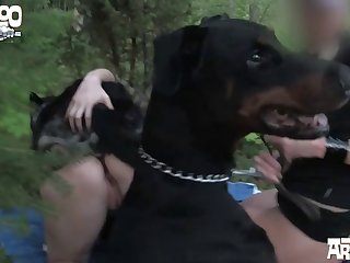 Walk Her Like A Dog Porn