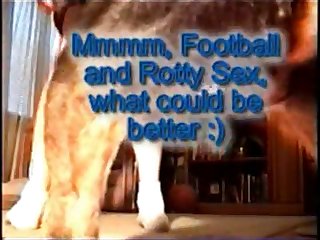 Russia Team Dog Porn