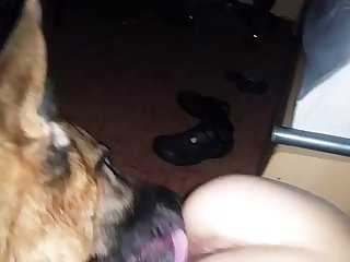 Couple Animal Sex
