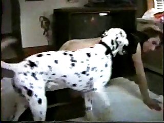 Missonary Dog Porn