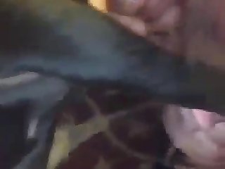 Woman Likes To Suck Dog Cock