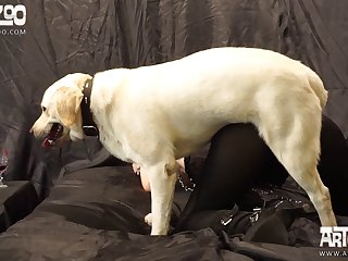 Lagos Girl Fuck By Dog Video