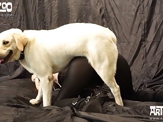 Lagos Girl Fuck By Dog Video