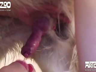 Asian Forced To Fuck Dog