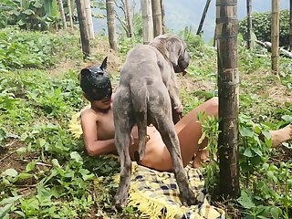 Fuck Dog Zoo Porn