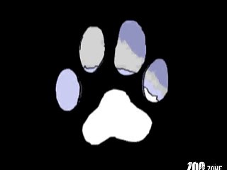 Porno Zoofilia