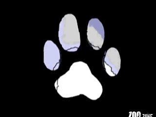 Porno Zoofilia