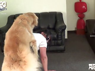 Dog Girl Sex