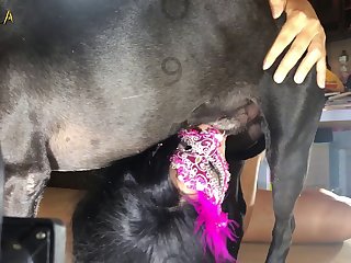 Hundknull