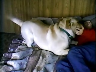 Horny Dog Fuck Wife