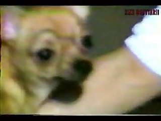 German Dog Fuck Girl