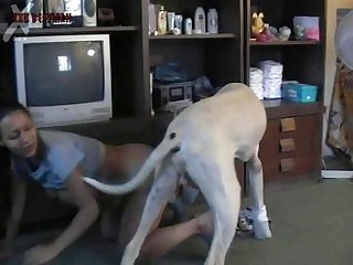 Dog Fuck Human Gay
