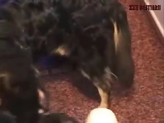 Dog Fuck Girl Slow
