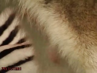 Dog Fuck Teen Pussy Porn