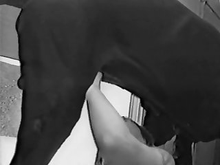 Teen Fuck Dog Missionary
