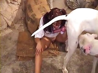 Dog Fuck Doggy Style