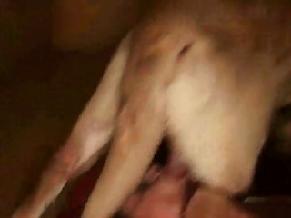 Resident Evil Dog Fuck