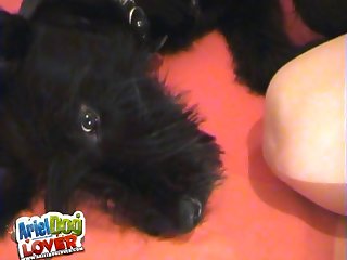 Dog Fuck Girl Porn.com