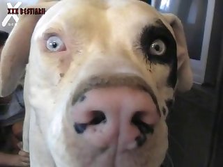 Makenzie Meehan Dog Fuck