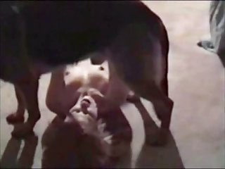 I Like To Fuck My Wife Together With My Dog