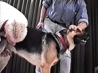 Moms Fuck Dog