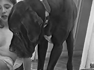 Dog Fuck Ma
