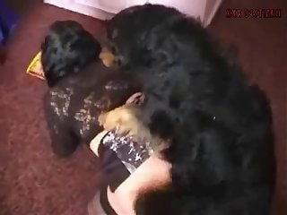 Small Teen Fuck Dog