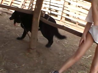 Dog Fuck Russian Teen