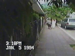 Dog Fuck Girl In Bed