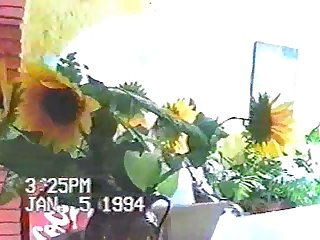 Dog Fuck Girl In Bed