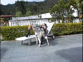 Lesbian Fuck Dog Porn