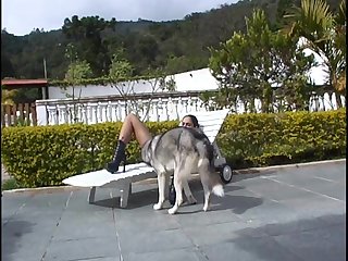 Lesbian Fuck Dog Porn