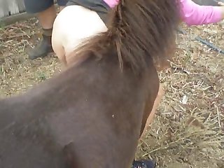 Porn Dog Anal