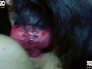 Miss Fernanda Fuck Dog