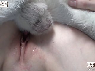 Porn Dog Fuck Man