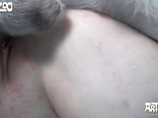 Porn Dog Fuck Man