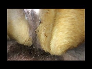 Siswet Dog Porn