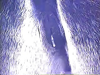 Horse Anal Fisting Porn