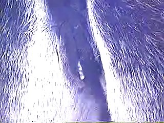 Horse Anal Fisting Porn