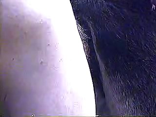 Horse Anal Fisting Porn