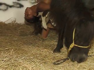 Gay Fucked By Horse Porn