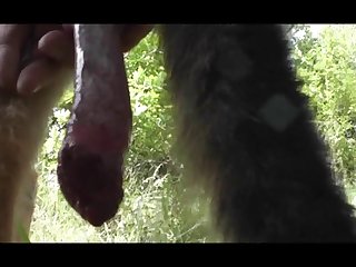 Dog Kink Porn