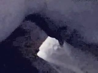Zoo Hentai Porn
