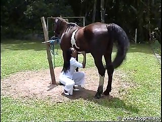 Gay Dog On Dog Porn