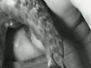 Dog Dick Suck Porn