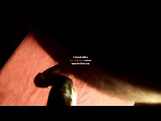 White Horse Cock Porn