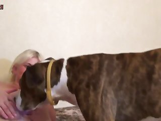 Animated Horse Gay Porn