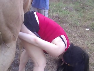 Free Animal Sex Videos