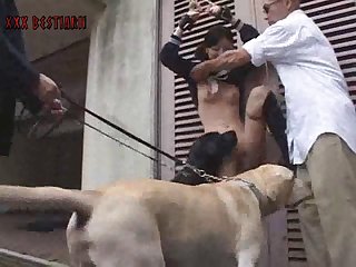 Guy Has Sex With Dog Porn