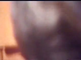 Porn Fucking A Horse